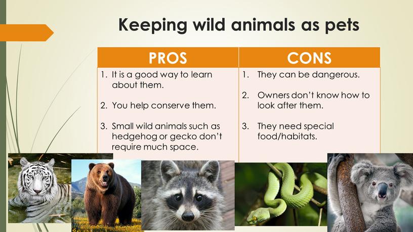 Keeping wild animals as pets PROS
