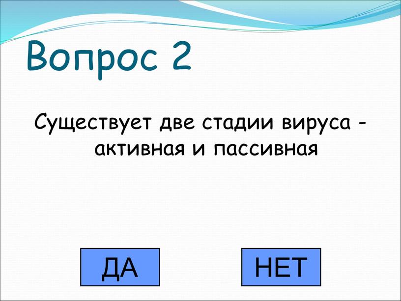 Вопрос 2 Существует две стадии вируса - активная и пассивная