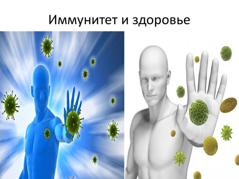 Иммунитет и здоровье