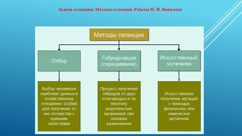 Задачи селекции. Методы селекции