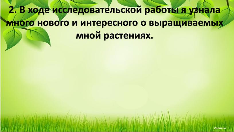 В ходе исследовательской работы я узнала много нового и интересного о выращиваемых мной растениях