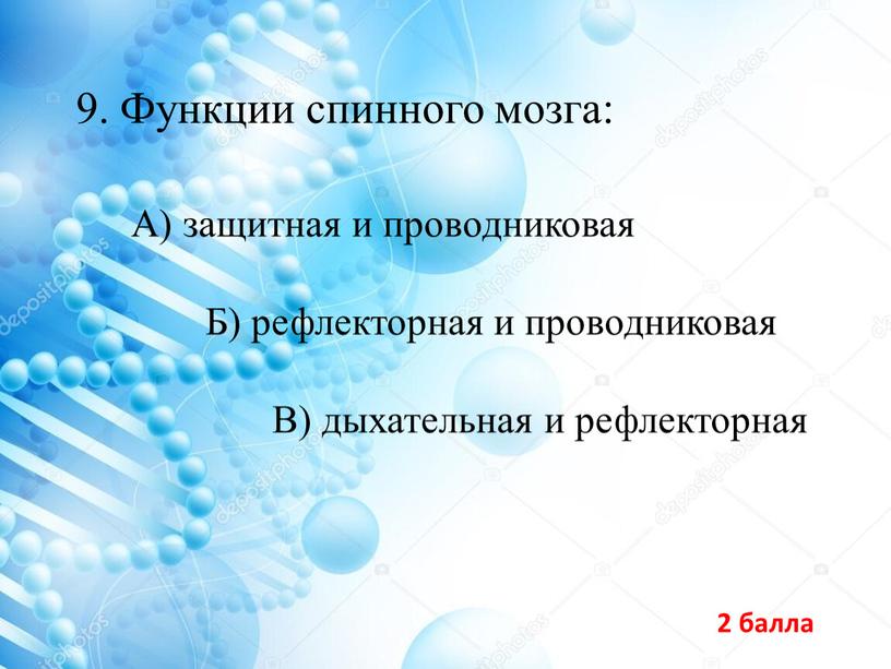 Функции спинного мозга: В) дыхательная и рефлекторная