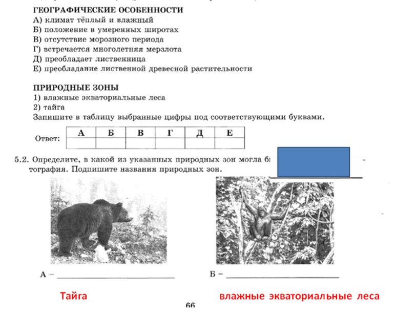 Презентация к уроку географии в 7 классе  "Природные зоны "