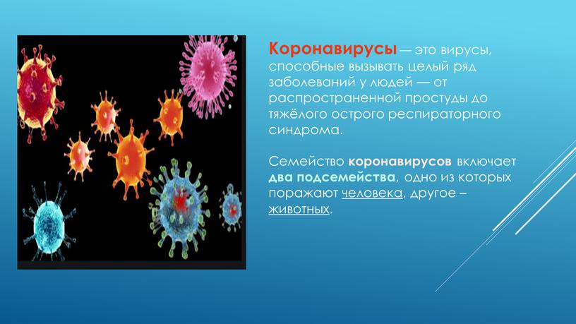 Коронавирусы — это вирусы, способные вызывать целый ряд заболеваний у людей — от распространенной простуды до тяжёлого острого респираторного синдрома