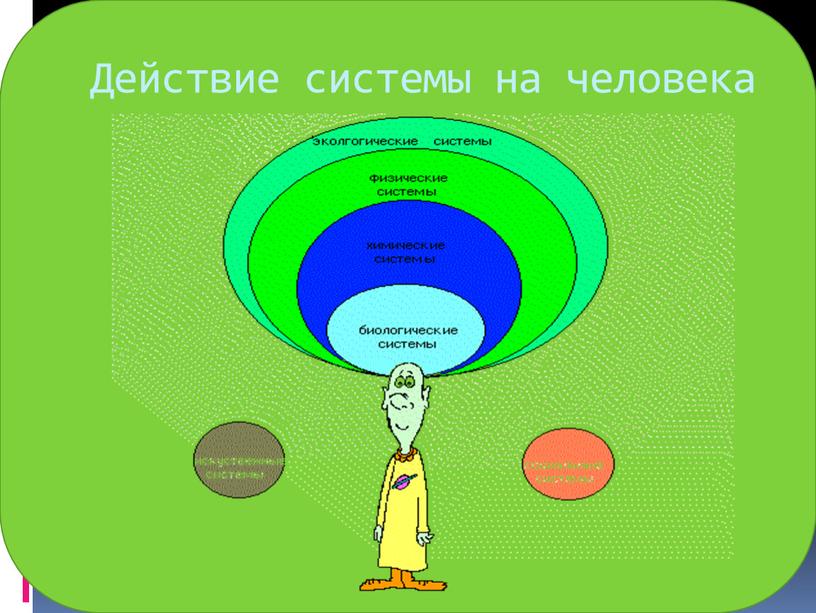 Действие системы на человека