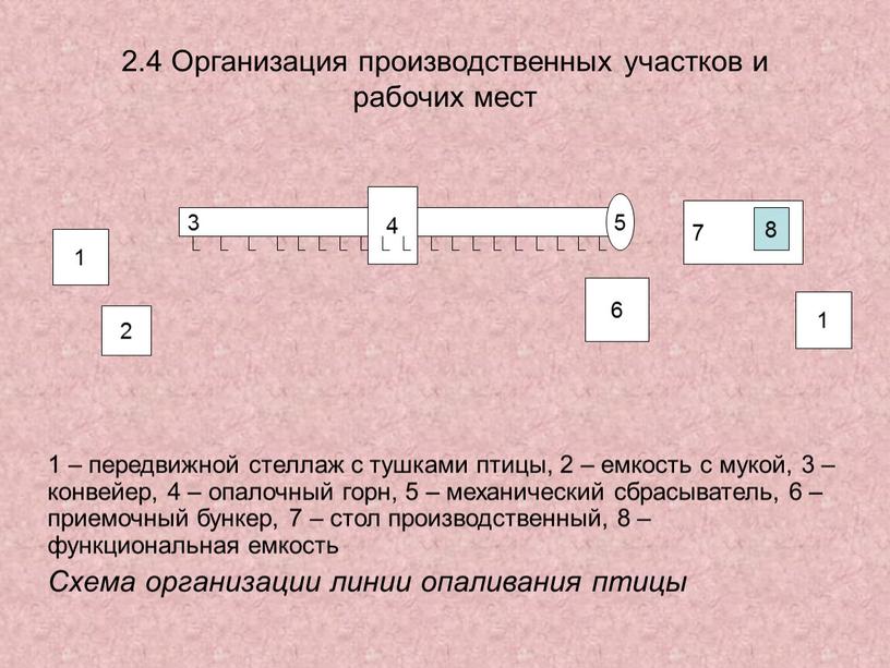 Организация производственных участков и рабочих мест 1 – передвижной стеллаж с тушками птицы, 2 – емкость с мукой, 3 – конвейер, 4 – опалочный горн,…