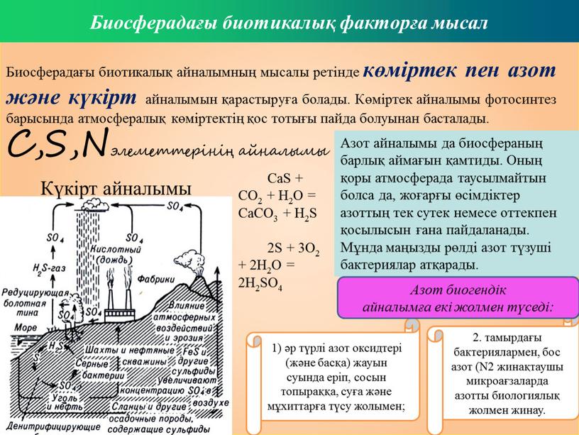 Биосферадағы биотикалық айналымның мысалы ретінде көміртек пен азот және күкірт айналымын қарастыруға болады