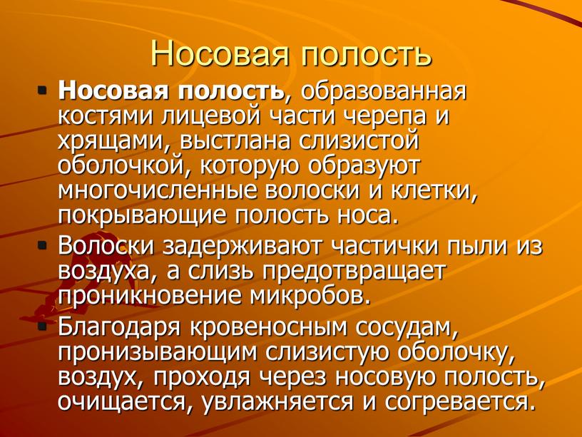 Носовая полость Носовая полость , образованная костями лицевой части черепа и хрящами, выстлана слизистой оболочкой, которую образуют многочисленные волоски и клетки, покрывающие полость носа