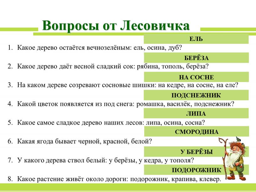 Вопросы от Лесовичка 1. Какое дерево остаётся вечнозелёным: ель, осина, дуб? 2