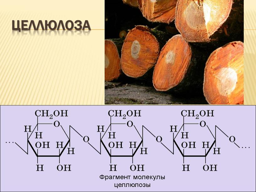 Целлюлоза