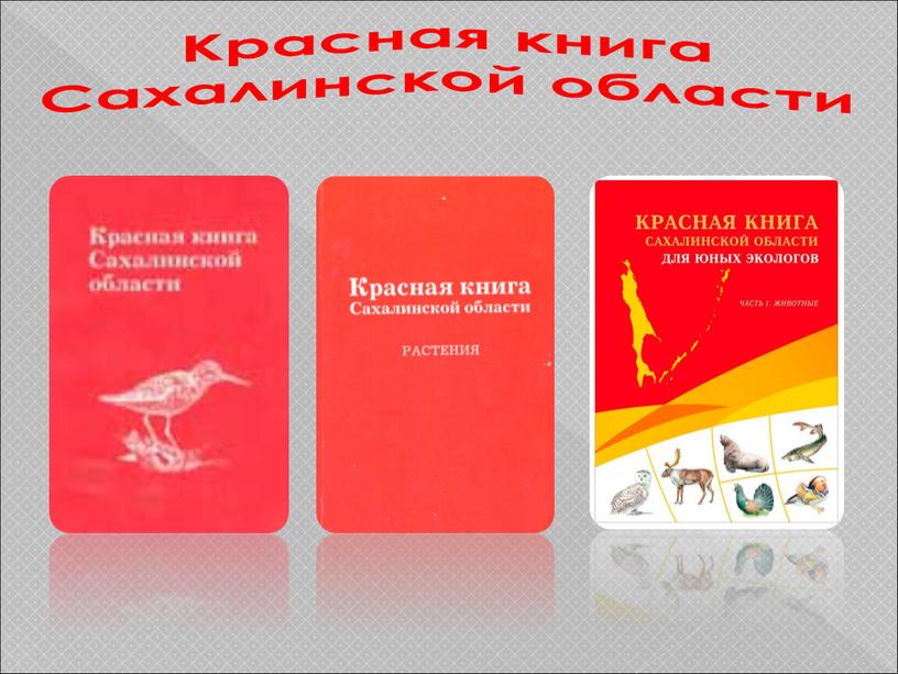 Красная книга Сахалинской области