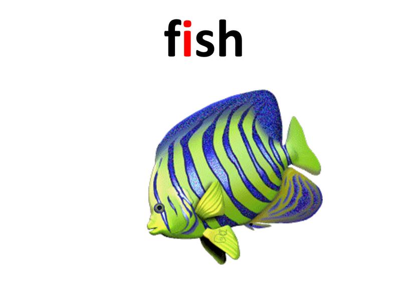 fish