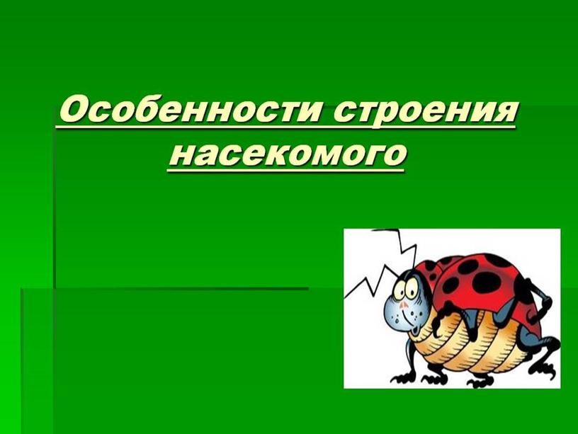 Презентация "Насекомые " 7 класс