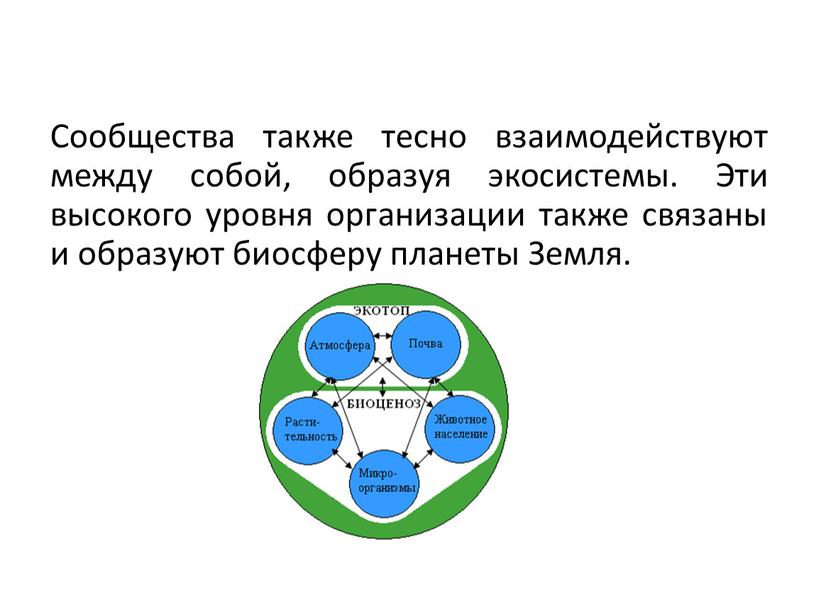 Сообщества также тесно взаимодействуют между собой, образуя экосистемы