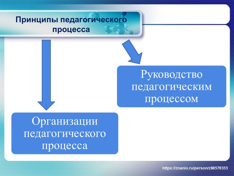 Принципы педагогического процесса https://znanio