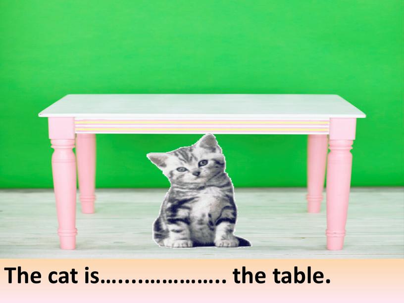 The cat is…....………….. the table