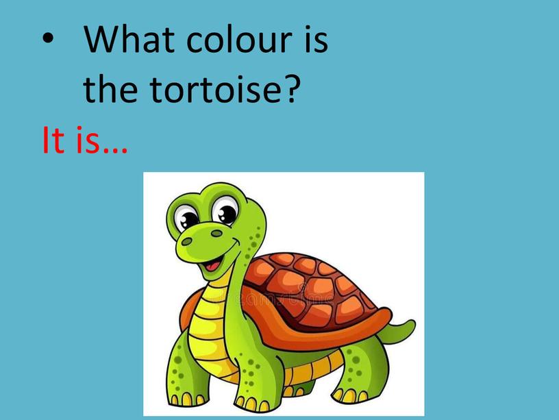 What colour is the tortoise? It is…