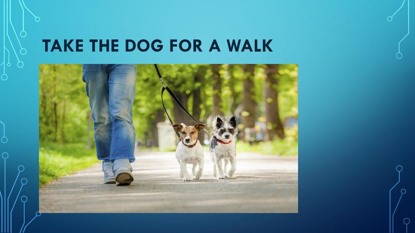 take the dog for a walk