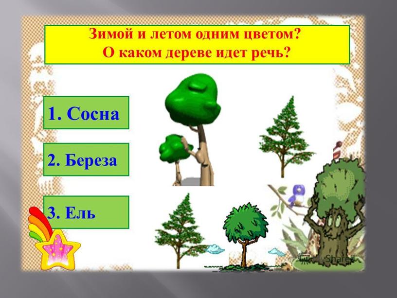 Презентация на тему: "Зимой и летом одним цветом"