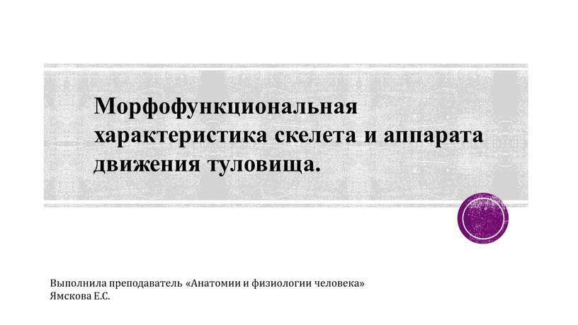 Морфофункциональная характеристика скелета и аппарата движения туловища