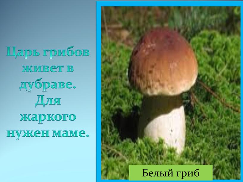 Царь грибов живет в дубраве. Для жаркого нужен маме