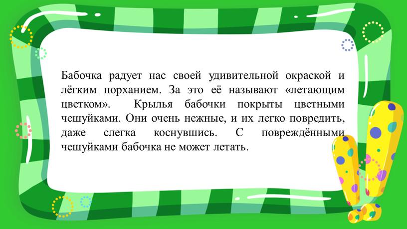 Бабочка радует нас своей удивительной окраской и лёгким порханием