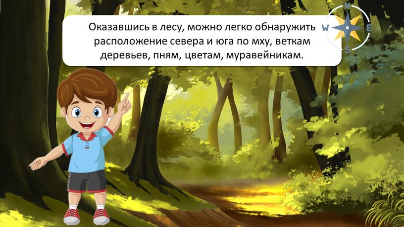 Ориентирование на местности Оказавшись в лесу, можно легко обнаружить расположение севера и юга по мху, веткам деревьев, пням, цветам, муравейникам