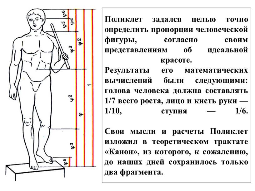 Поликлет задался целью точно определить пропорции человеческой фигуры, согласно своим представлениям об идеальной красоте