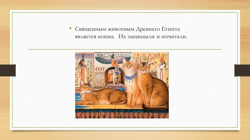 Священным животным Древнего Египта является кошка