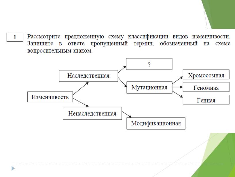 Разбор демо-версии ЕГЭ по биологии