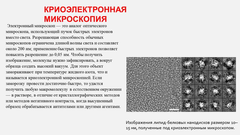 Изображения липид-белковых нанодисков размером 10–15 нм, полученные под криоэлектронным микроскопом