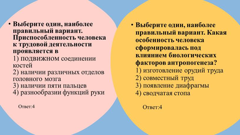 Выберите один, наиболее правильный вариант