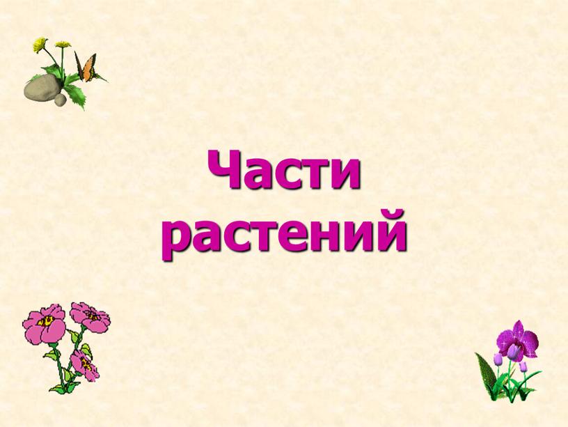 Части растений