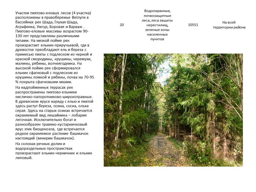 Водоохранные, почвозащитные леса, леса защиты нерестилищ, зеленые зоны населенных пунктов 10551