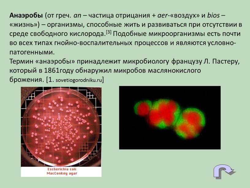 Анаэробы (от греч. an – частица отрицания + aer -«воздух» и bios – «жизнь») – организмы, способные жить и развиваться при отсутствии в среде свободного…