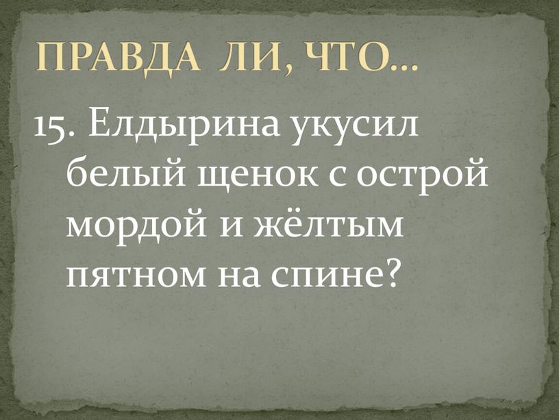 Елдырина укусил белый щенок с острой мордой и жёлтым пятном на спине?