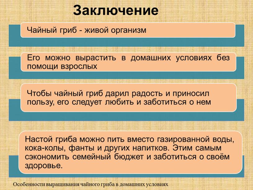 Заключение Особенности выращивания чайного гриба в домашних условиях