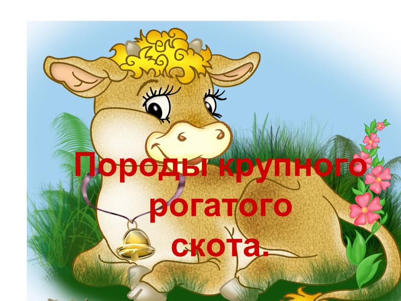 Породы крупного рогатого скота