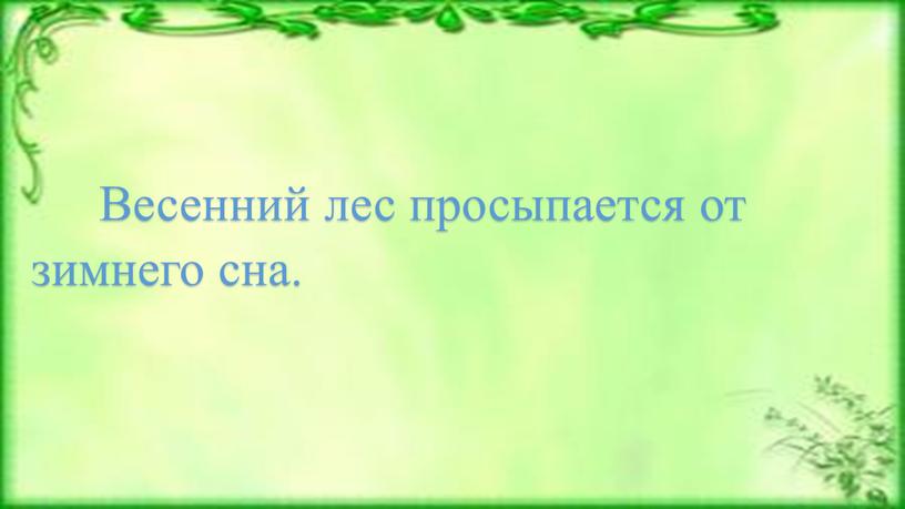 Весенний лес просыпается от зимнего сна