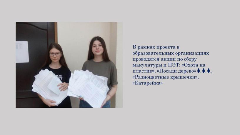 В рамках проекта в образовательных организациях проводятся акции по сбору макулатуры и