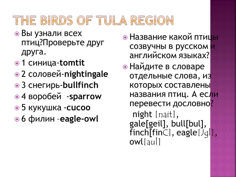 THE BIRDS OF TULA REGION Вы узнали всех птиц?Проверьте друг друга