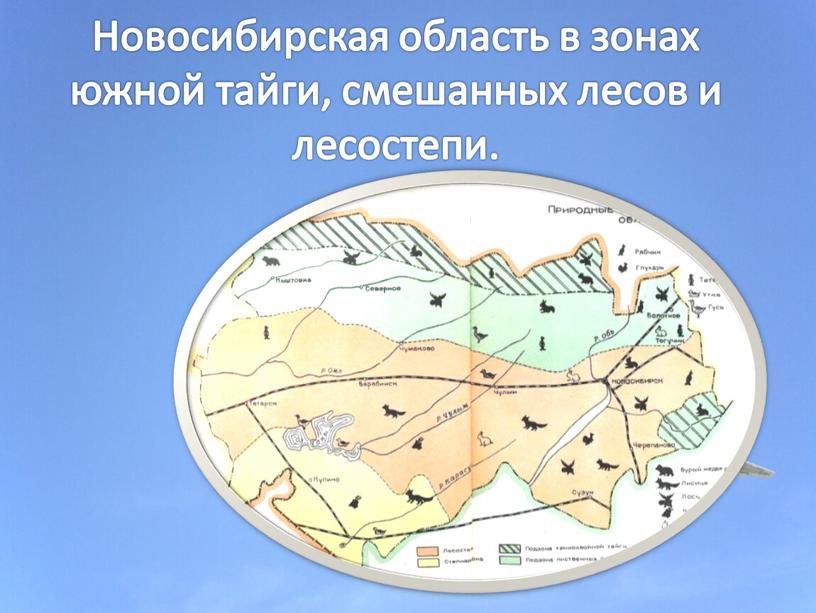 Новосибирская область в зонах южной тайги, смешанных лесов и лесостепи