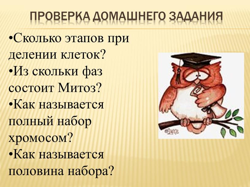 Проверка домашнего задания Сколько этапов при делении клеток?