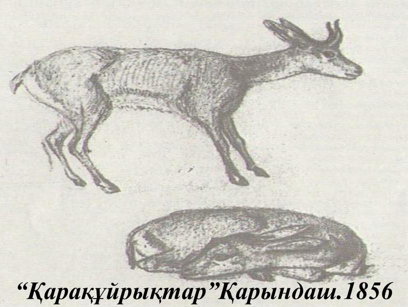 “Қарақұйрықтар”Қарындаш.1856