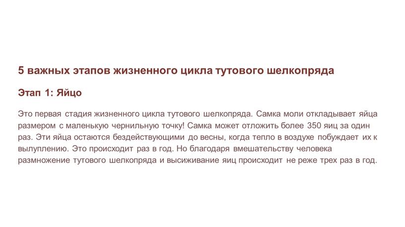 Этап 1: Яйцо Это первая стадия жизненного цикла тутового шелкопряда