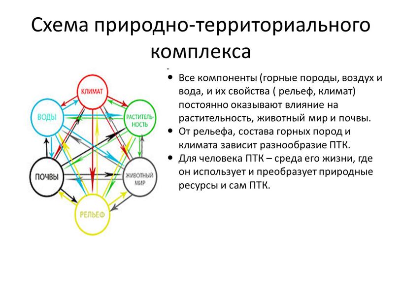 Схема природно-территориального комплекса