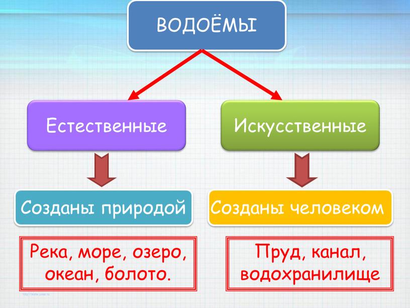 Река, море, озеро, океан, болото