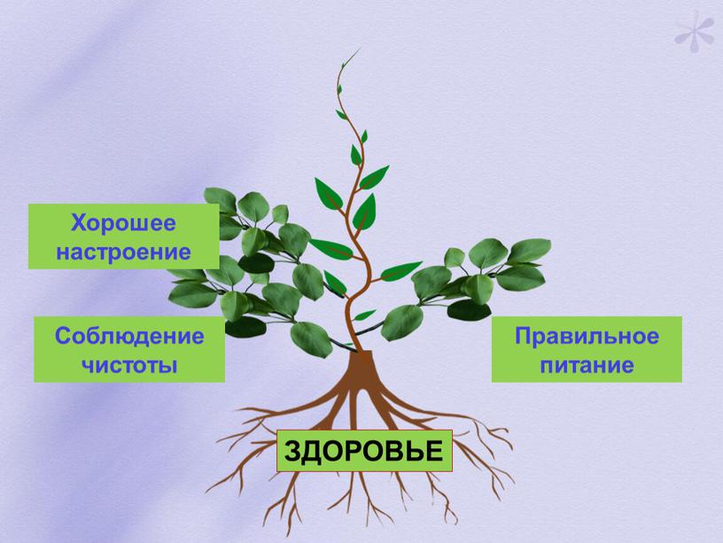 Соблюдение чистоты Правильное питание