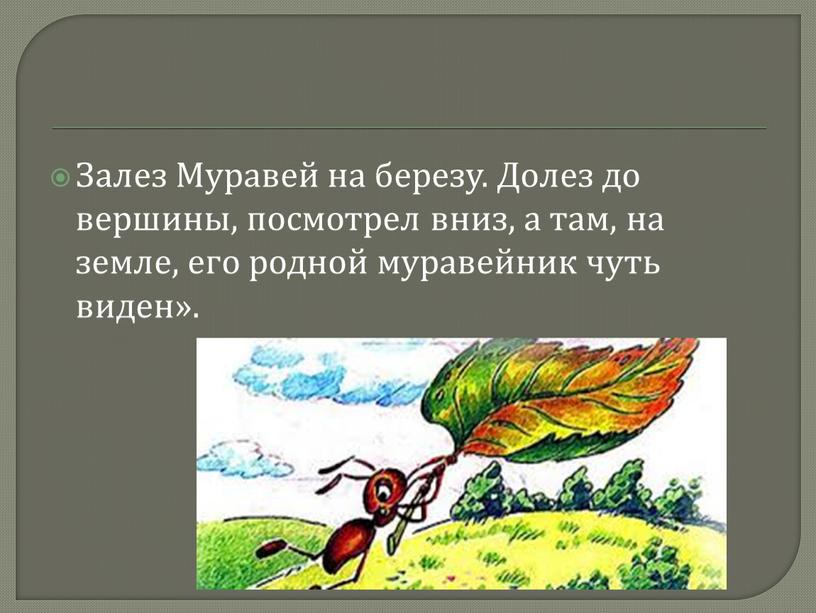 Залез Муравей на березу. Долез до вершины, посмотрел вниз, а там, на земле, его родной муравейник чуть виден»