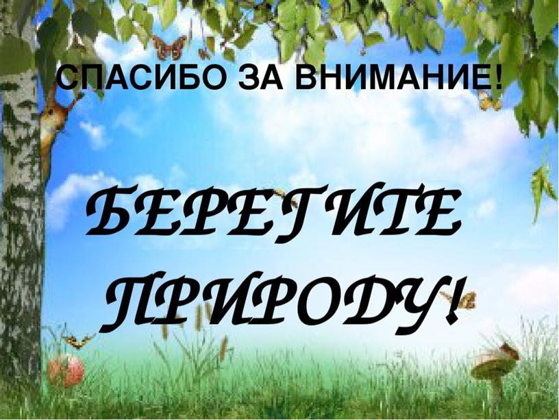 Презентация география 7 класс по теме: "ПТК. Природные зоны Земли"